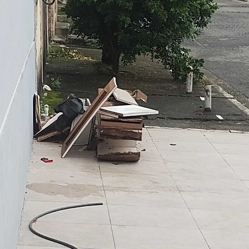 Imagem da publicação