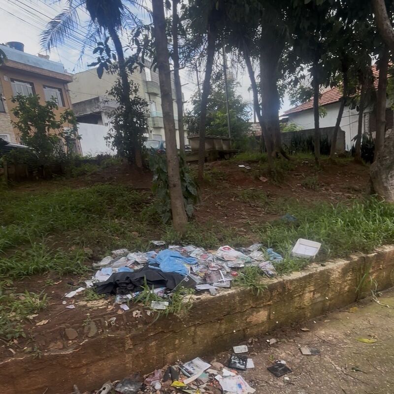 Imagem da publicação