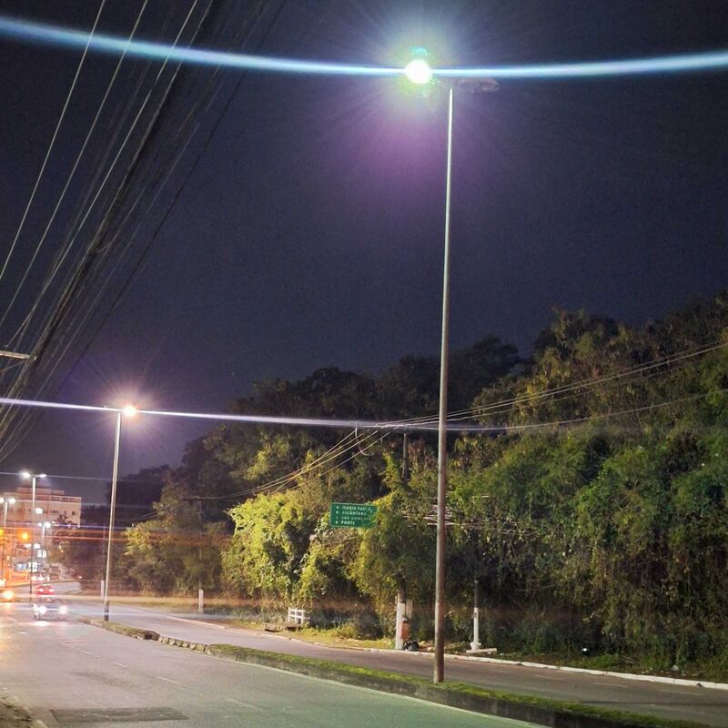 Imagem da publicação