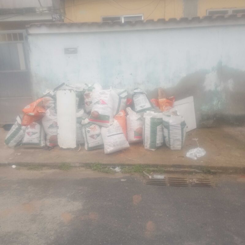Imagem da publicação