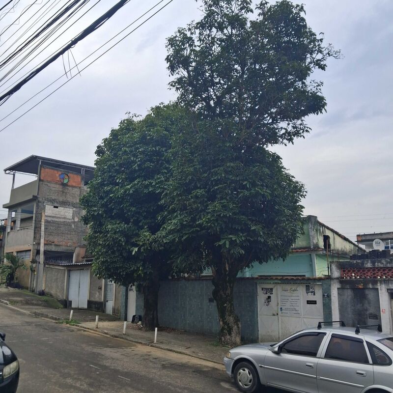 Imagem da publicação