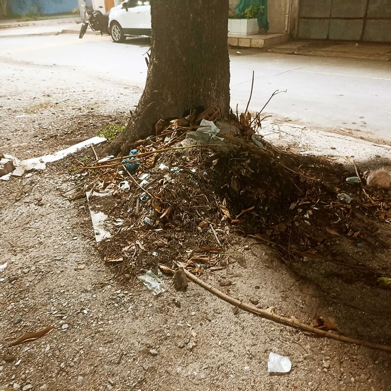 Imagem da publicação