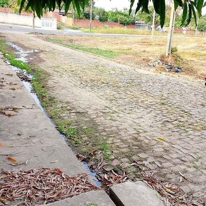 Imagem da publicação