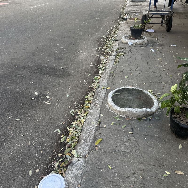 Imagem da publicação