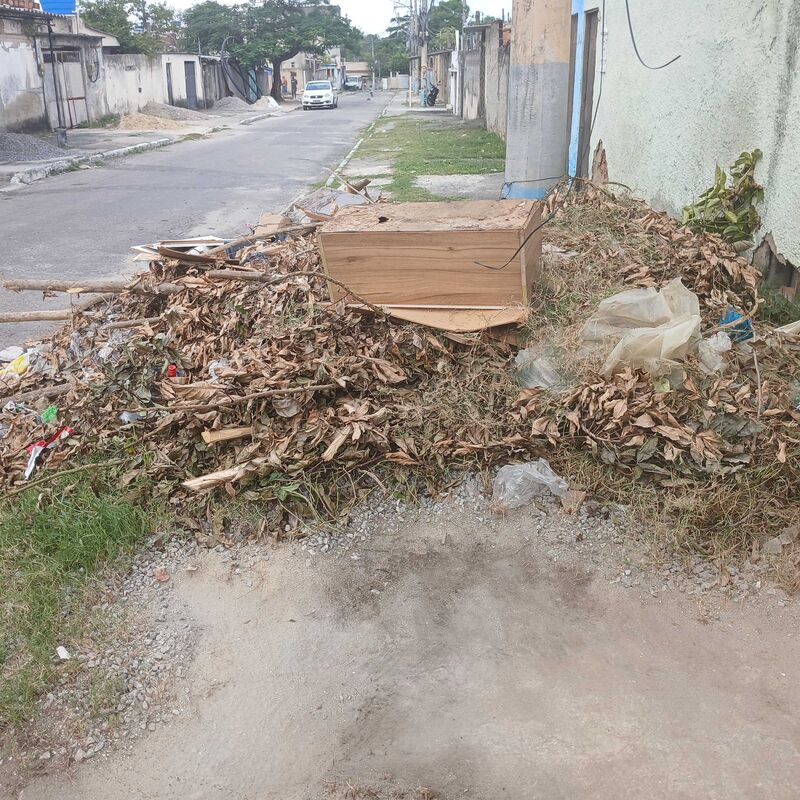 Imagem da publicação