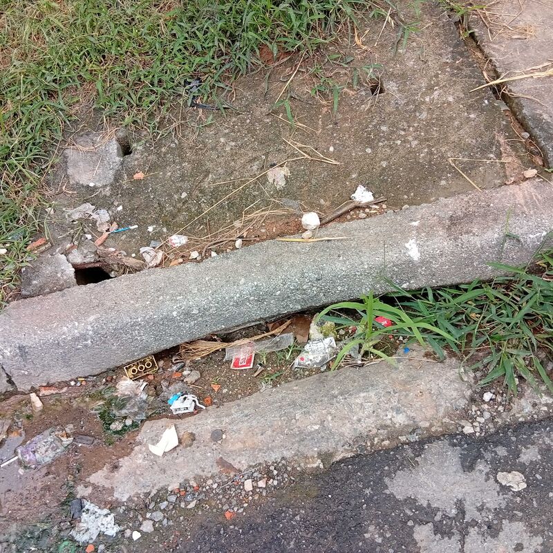 Imagem da publicação