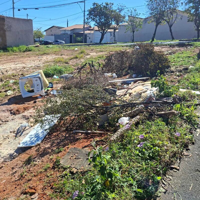 Imagem da publicação