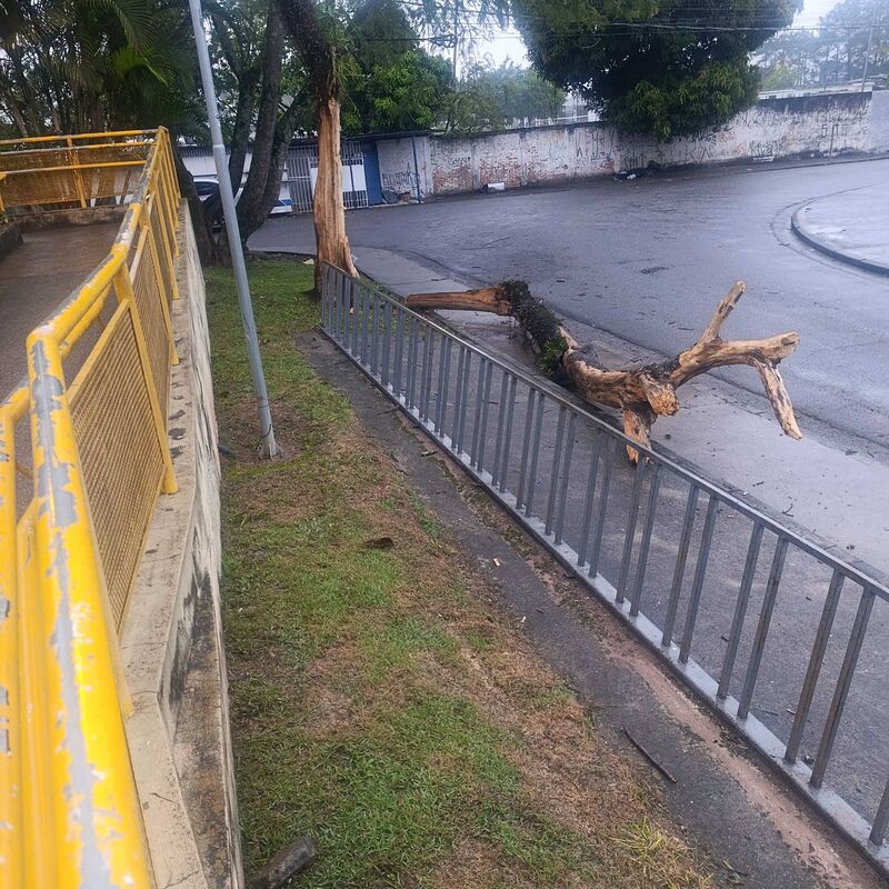 Imagem da publicação