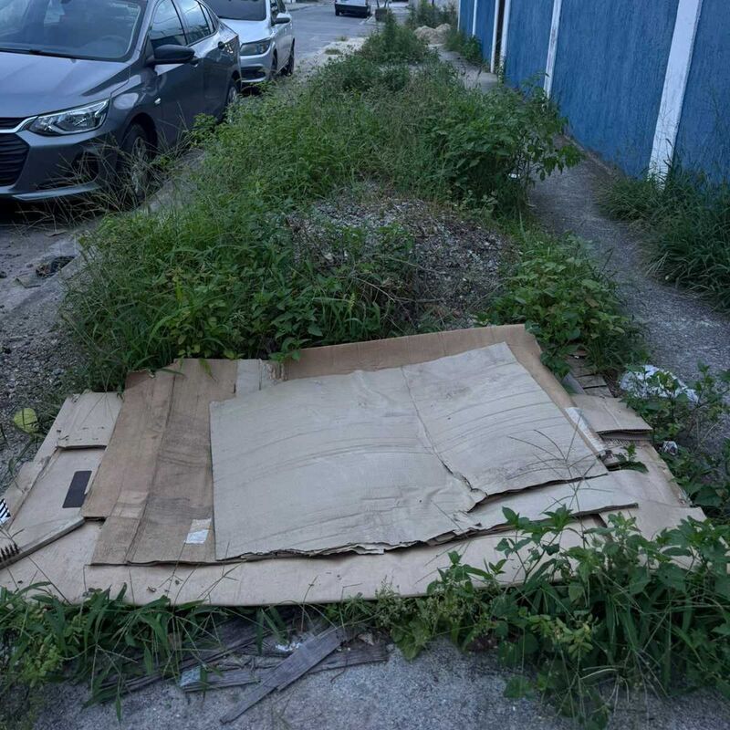 Imagem da publicação