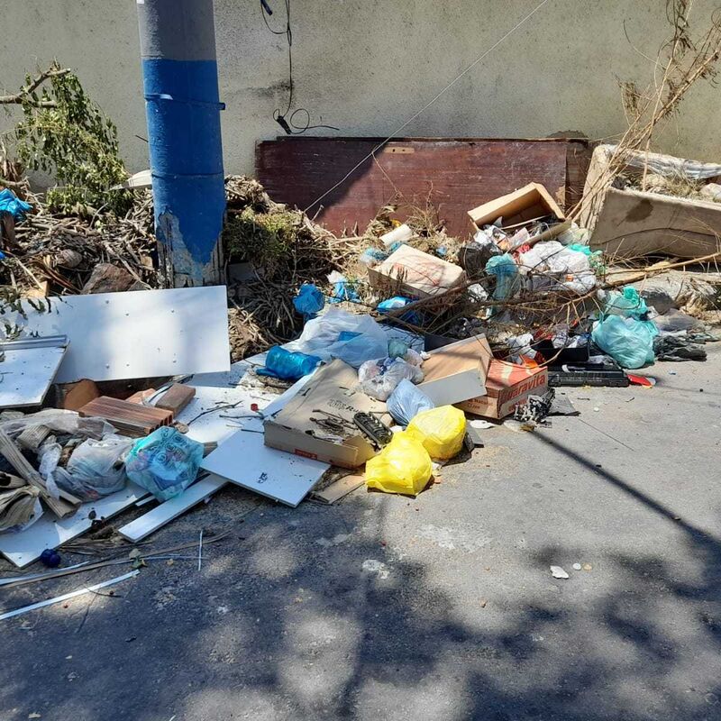 Imagem da publicação