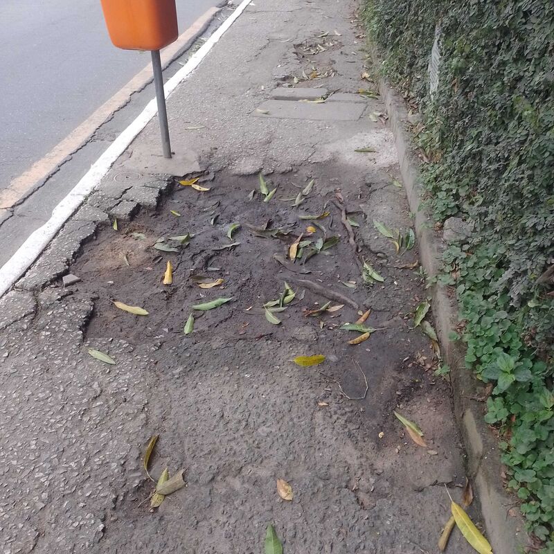 Imagem da publicação