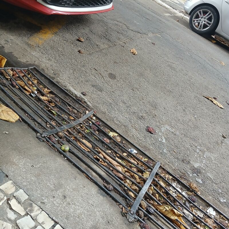 Imagem da publicação