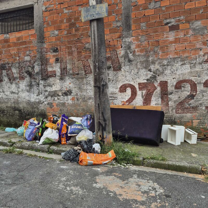 Imagem da publicação