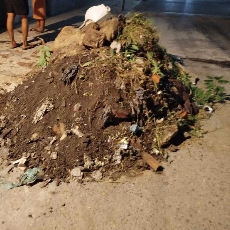 Imagem da publicação