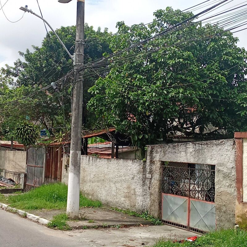 Imagem da publicação