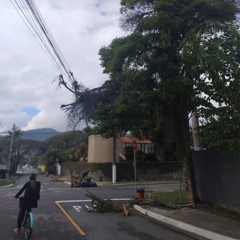 Imagem da publicação