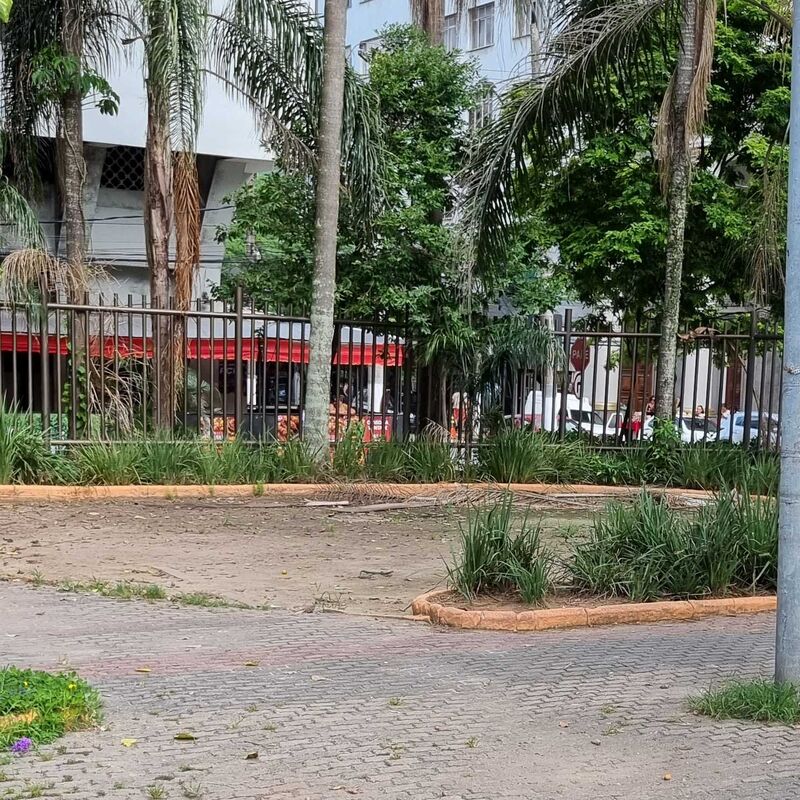 Imagem da publicação