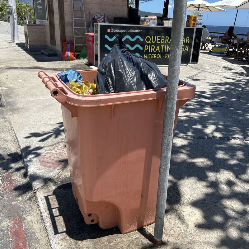 Imagem da publicação