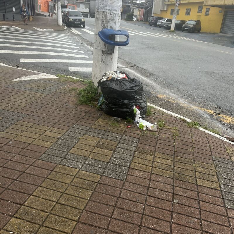 Imagem da publicação