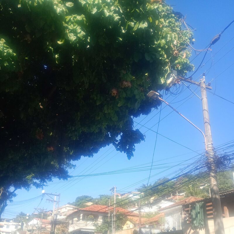 Imagem da publicação