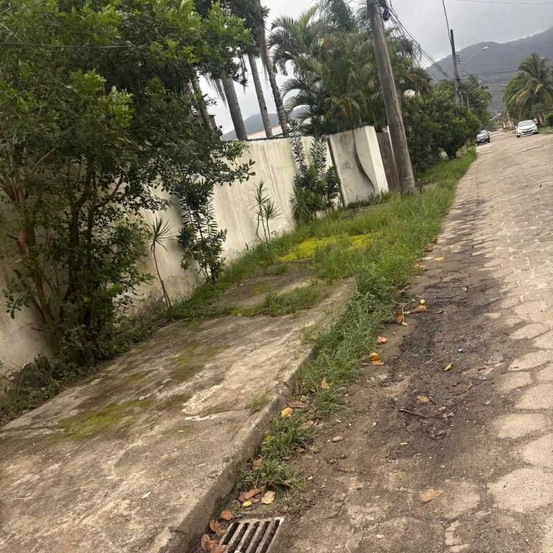 Imagem da publicação