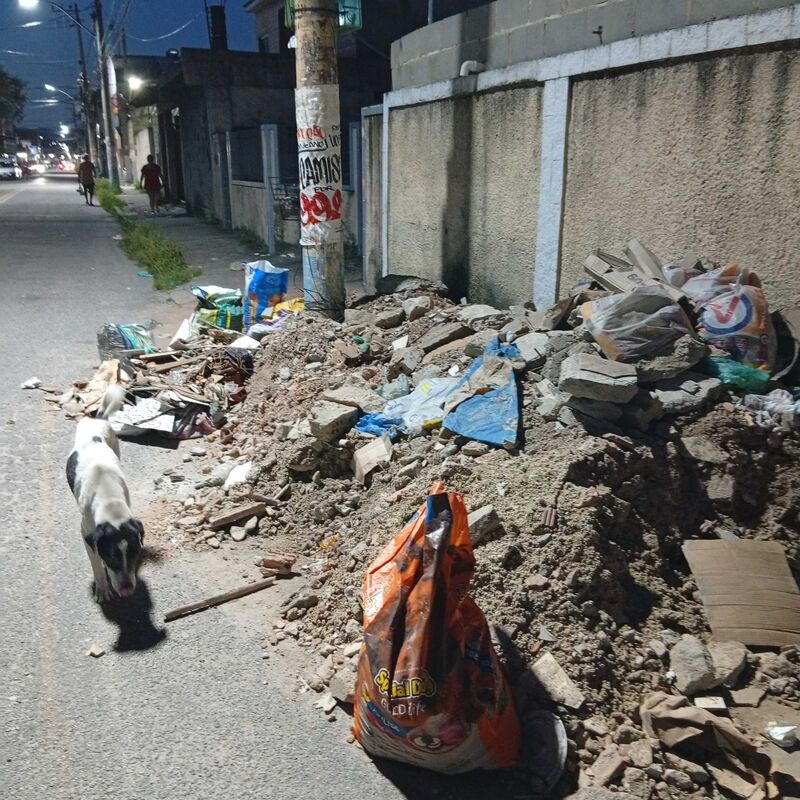 Imagem da publicação