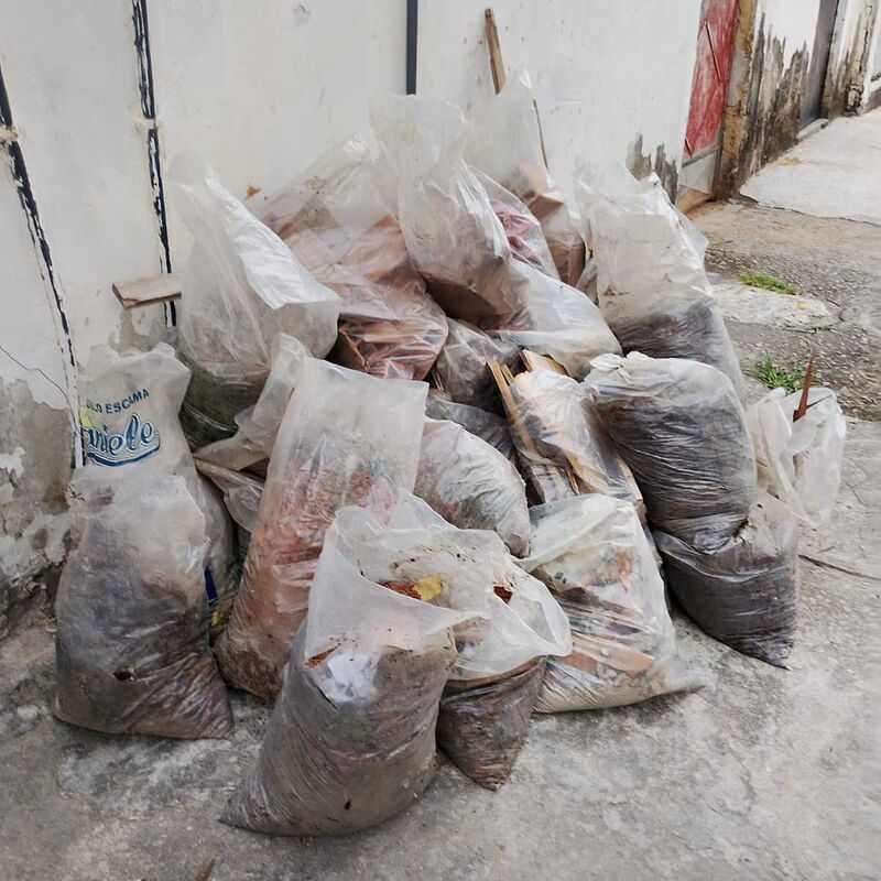 Imagem da publicação