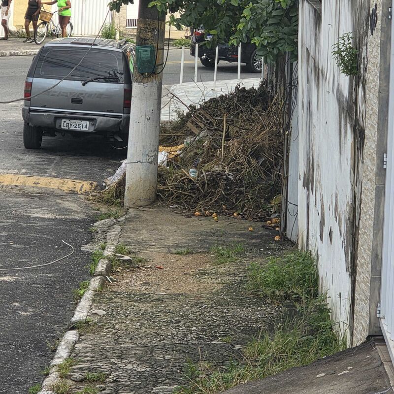 Imagem da publicação