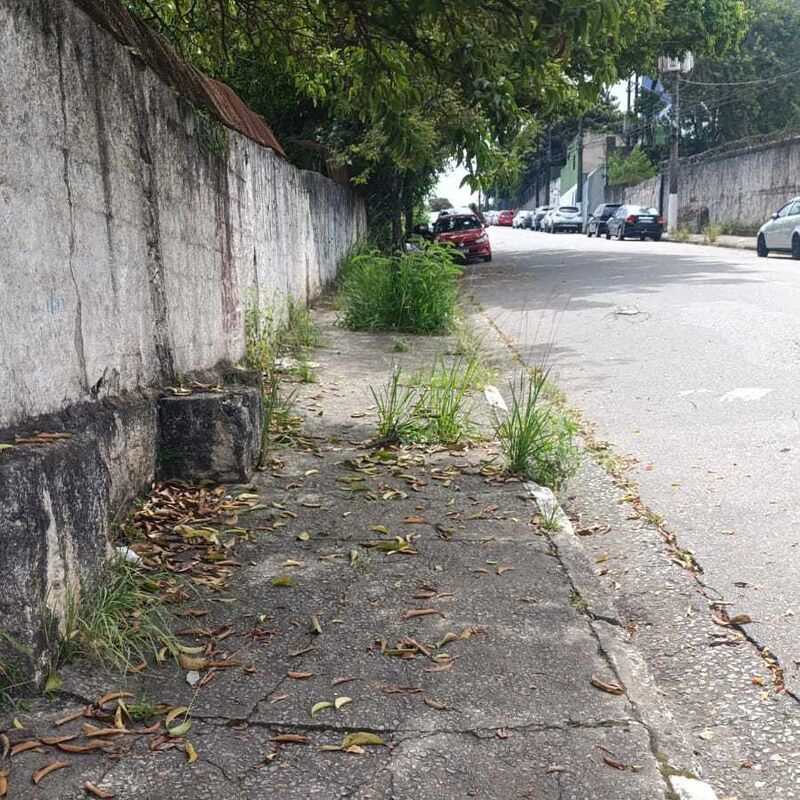 Imagem da publicação