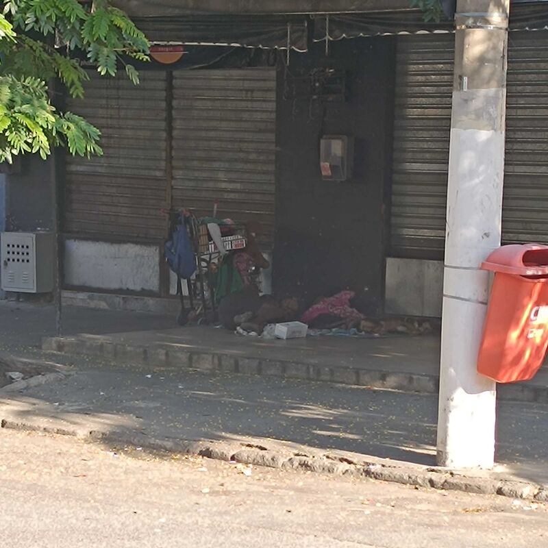 Imagem da publicação