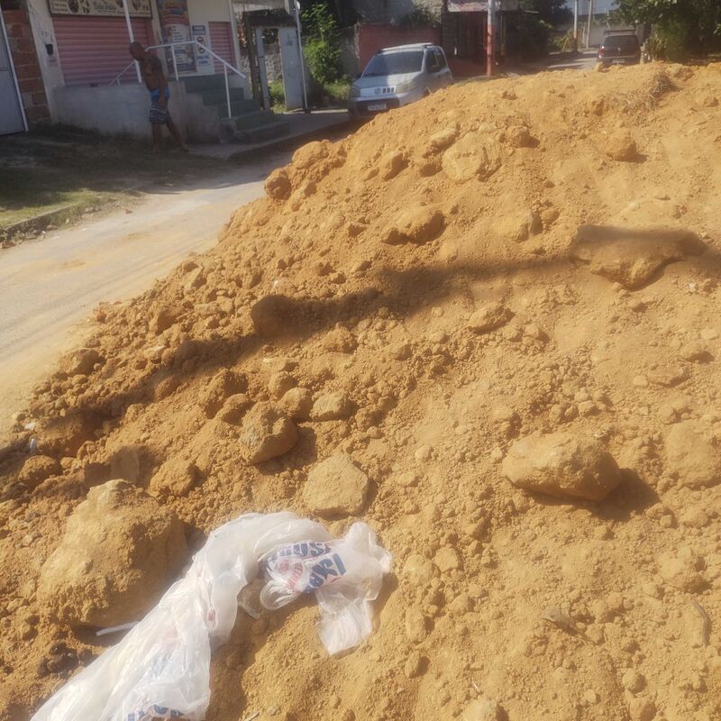 Imagem da publicação