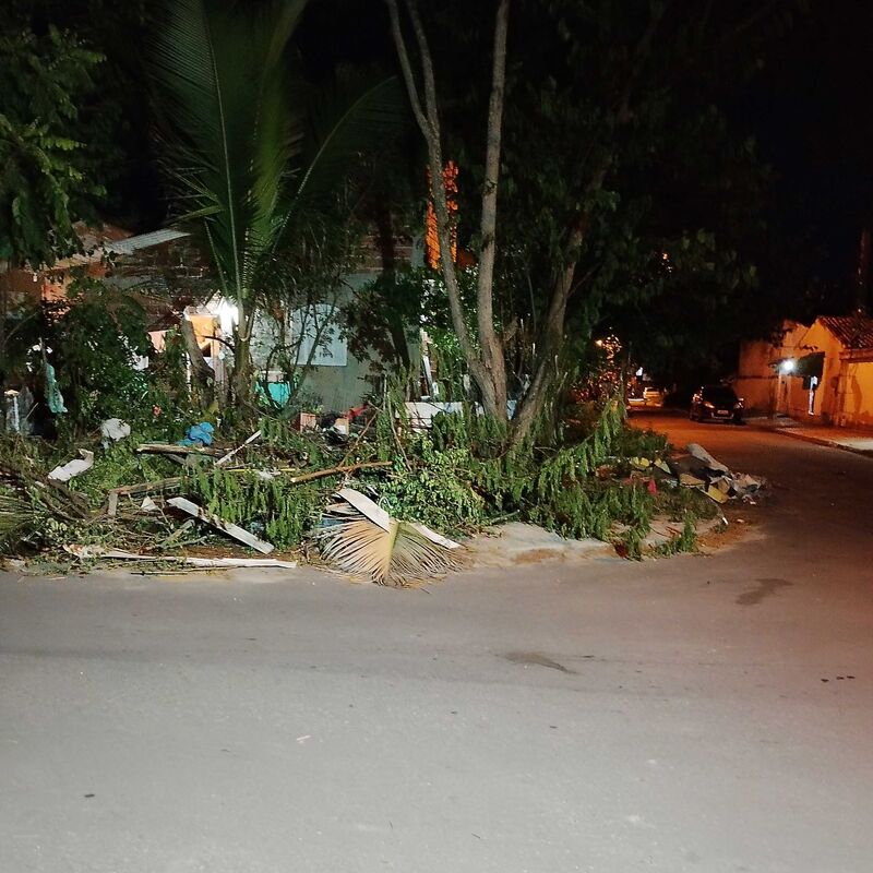 Imagem da publicação