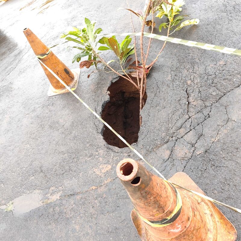 Imagem da publicação