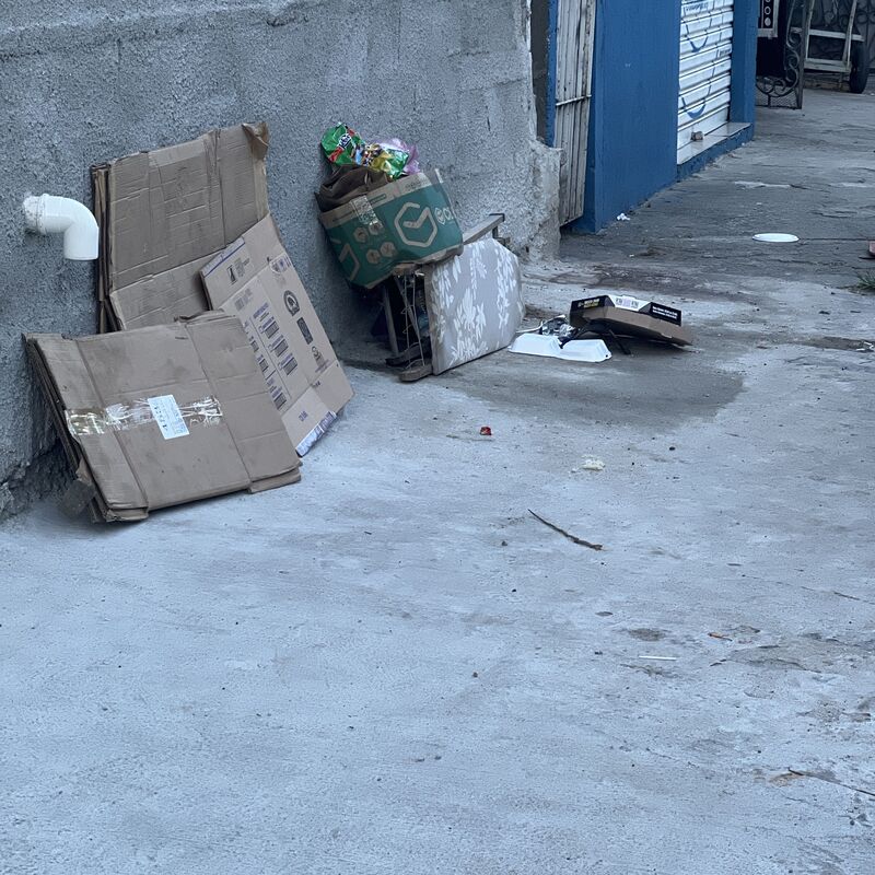 Imagem da publicação