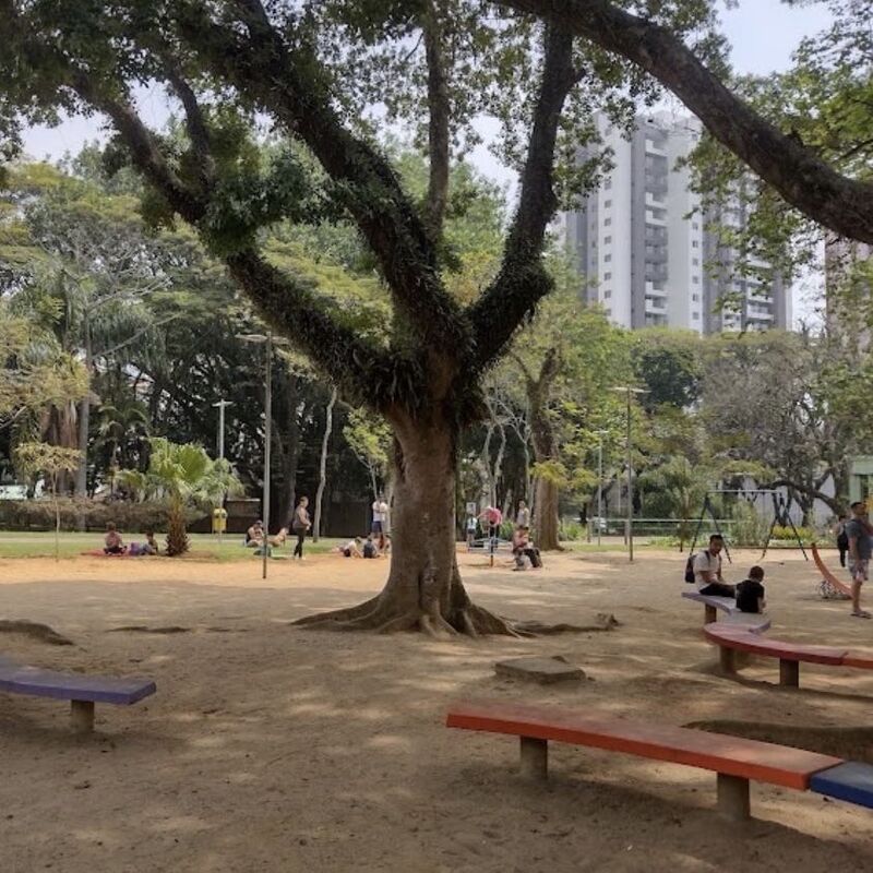 Imagem da publicação