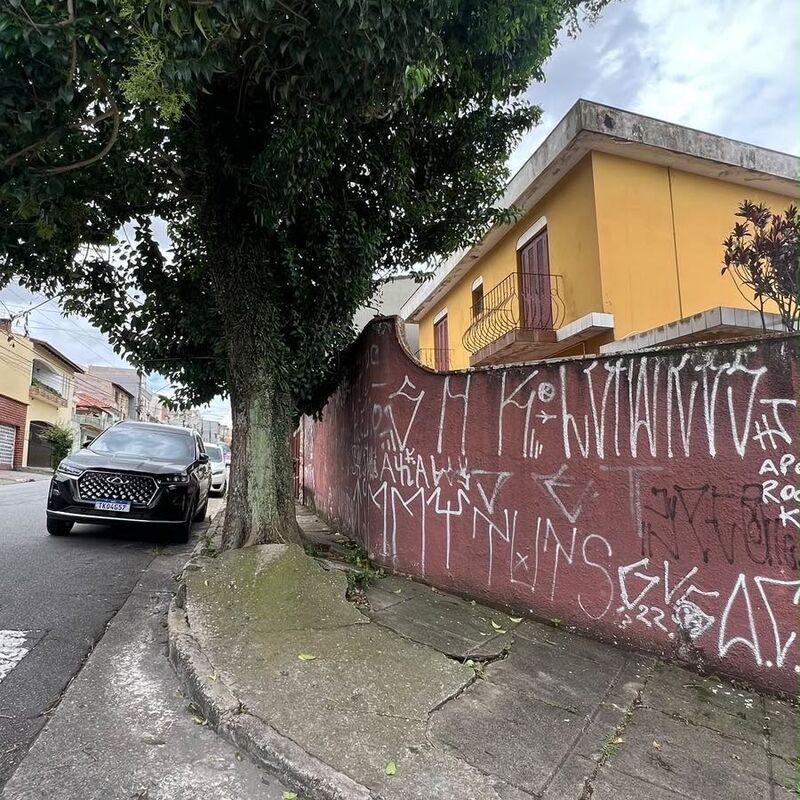 Imagem da publicação