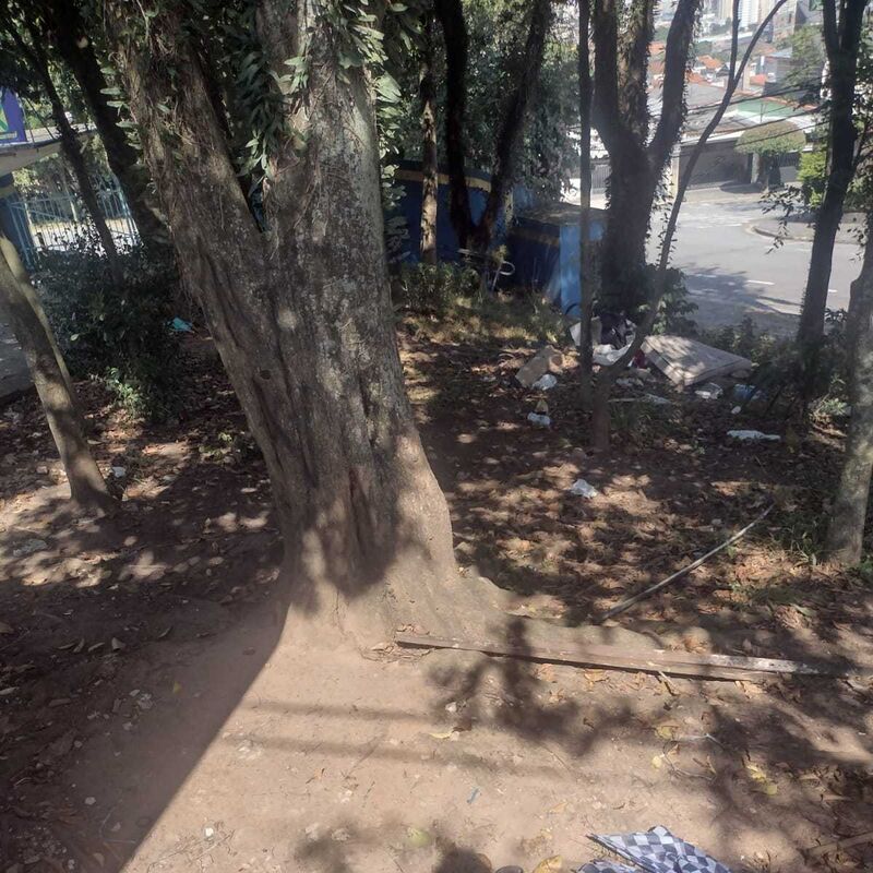 Imagem da publicação