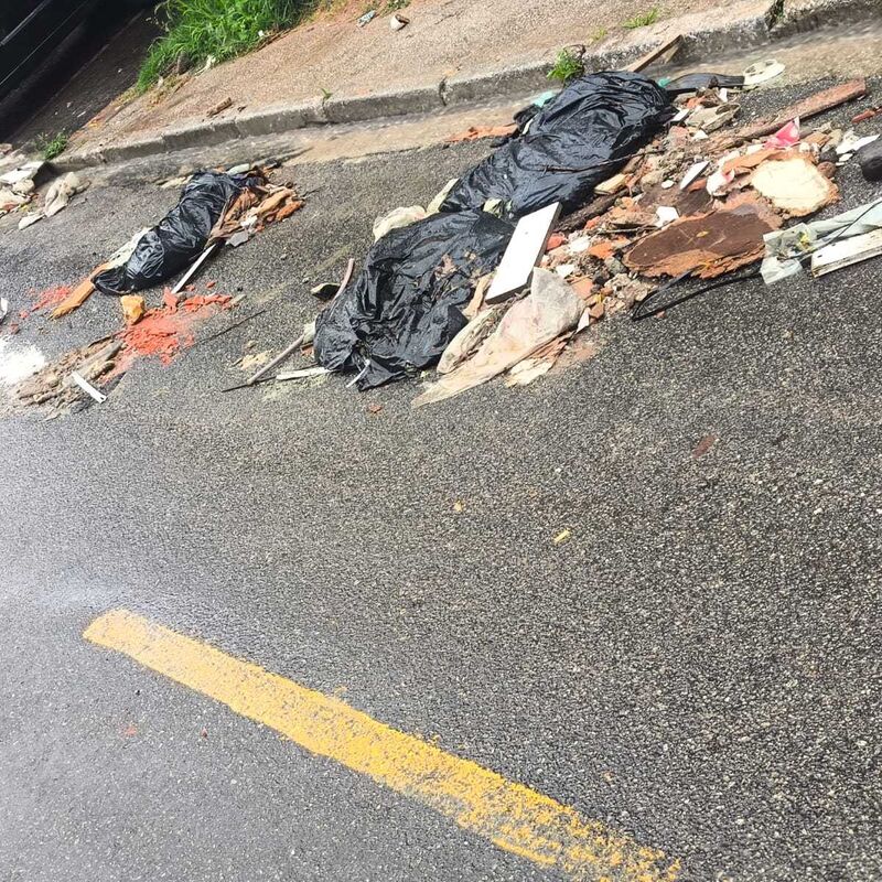 Imagem da publicação