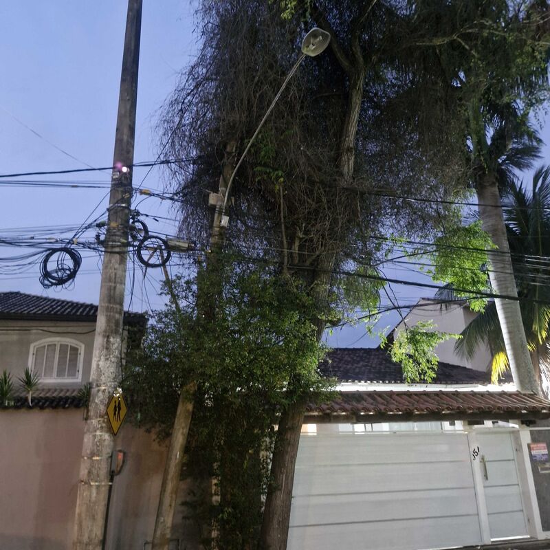 Imagem da publicação