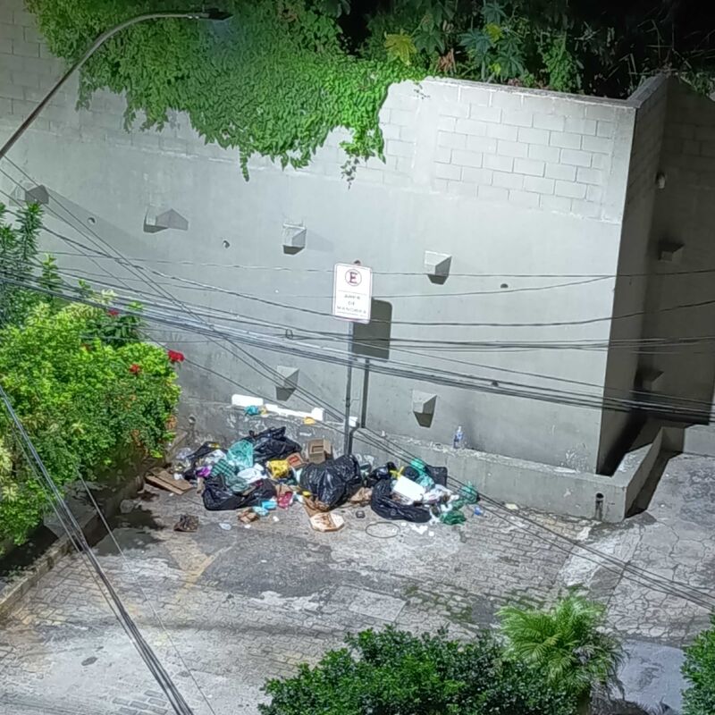 Imagem da publicação