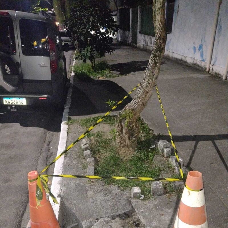 Imagem da publicação