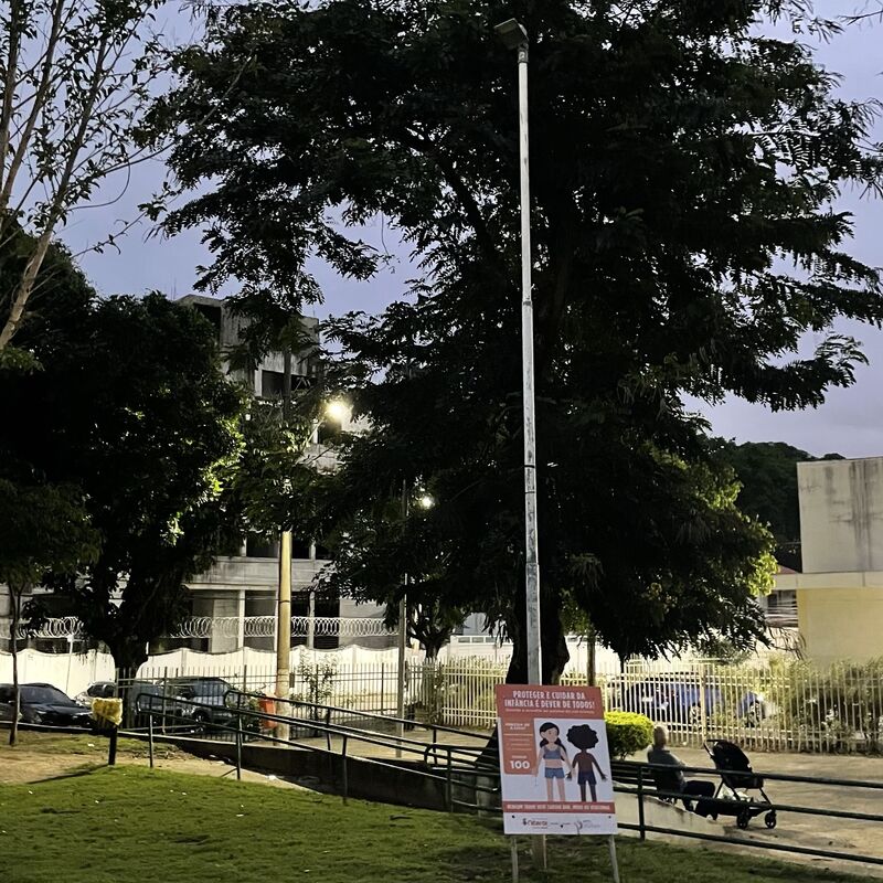 Imagem da publicação