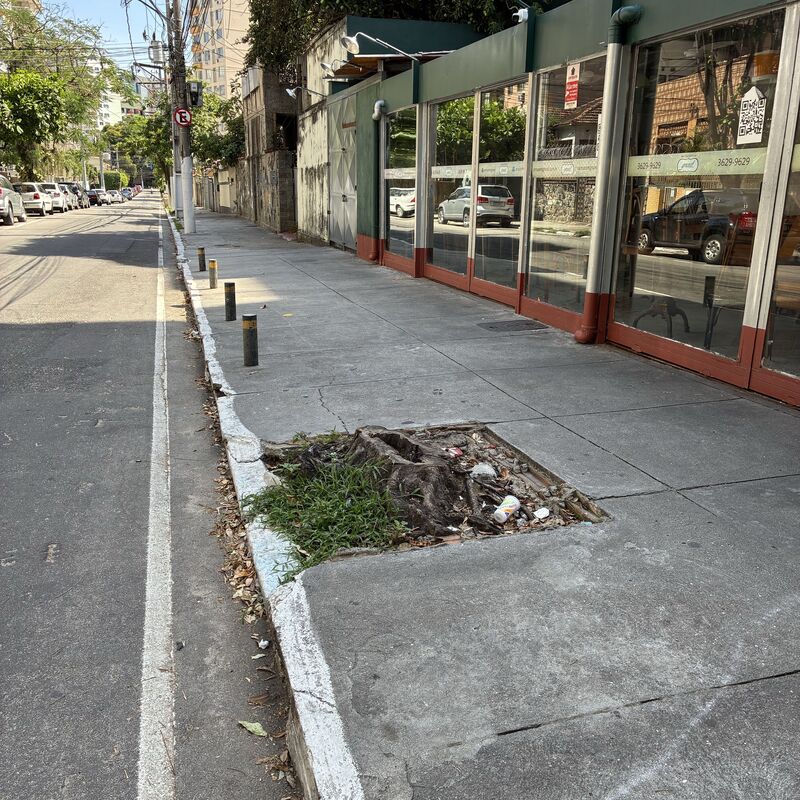 Imagem da publicação