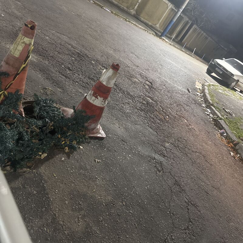 Imagem da publicação