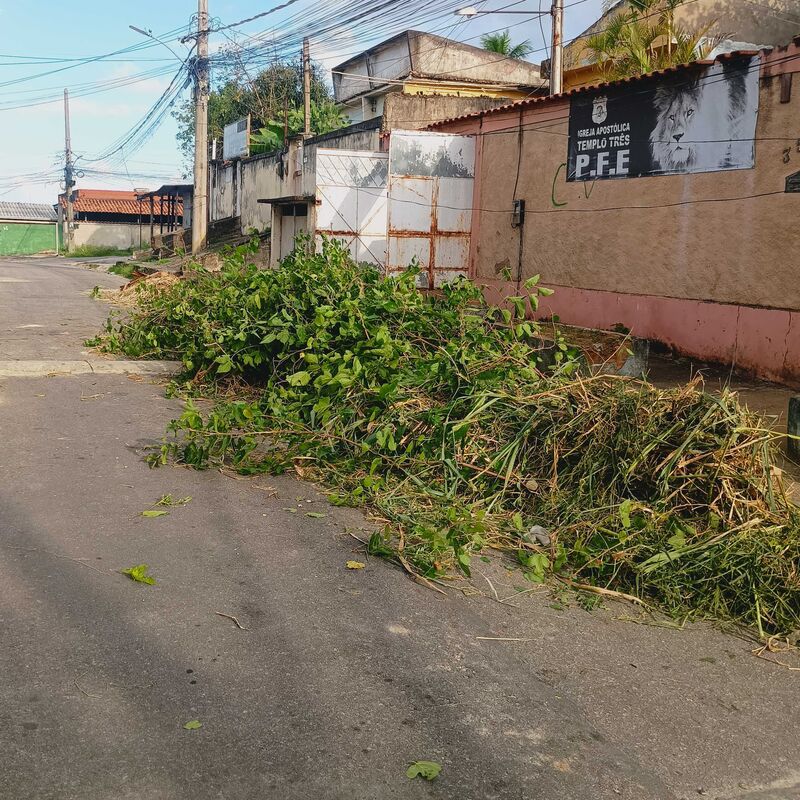 Imagem da publicação