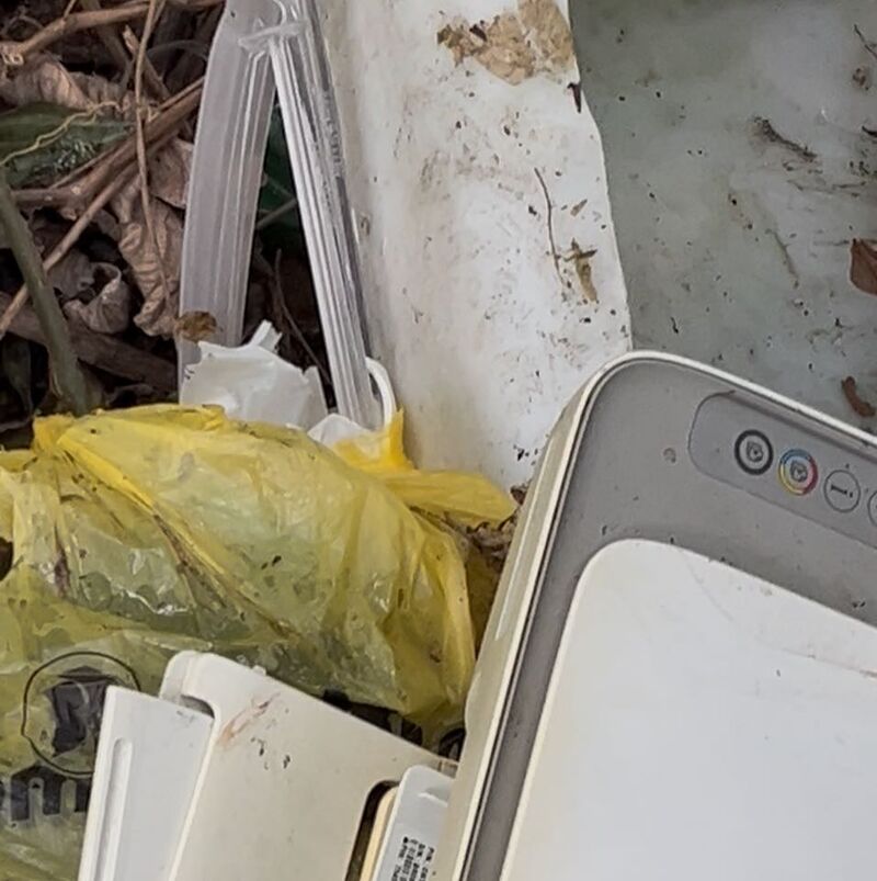 Imagem da publicação