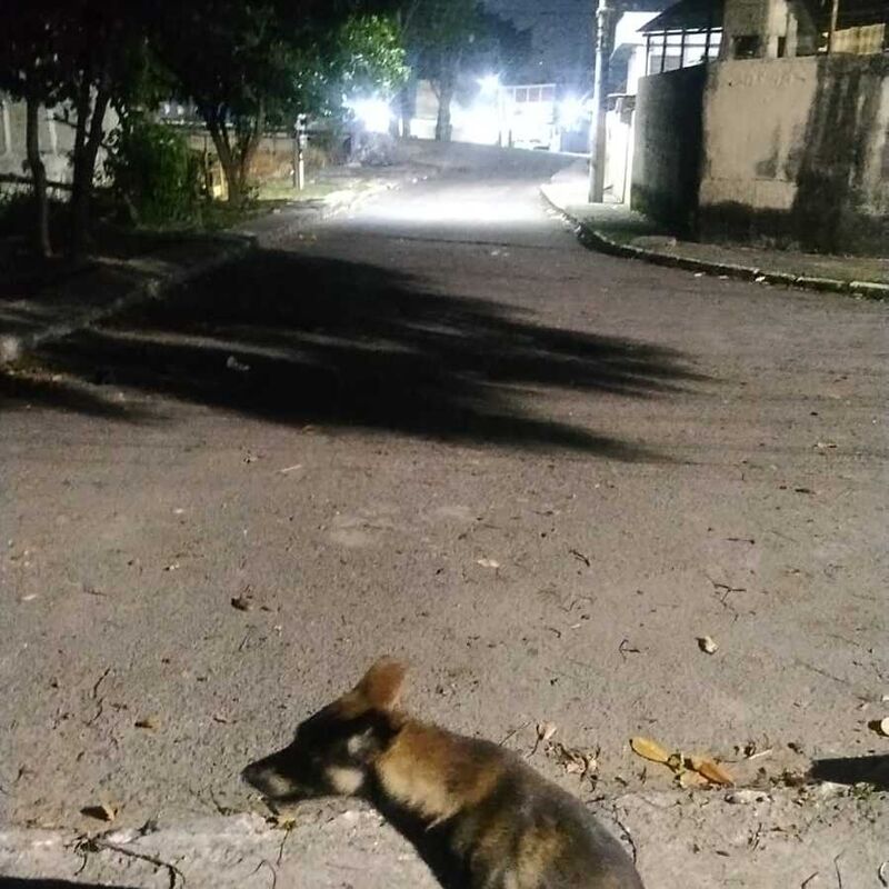 Imagem da publicação