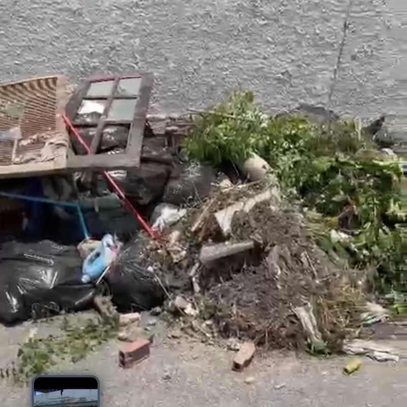 Imagem da publicação