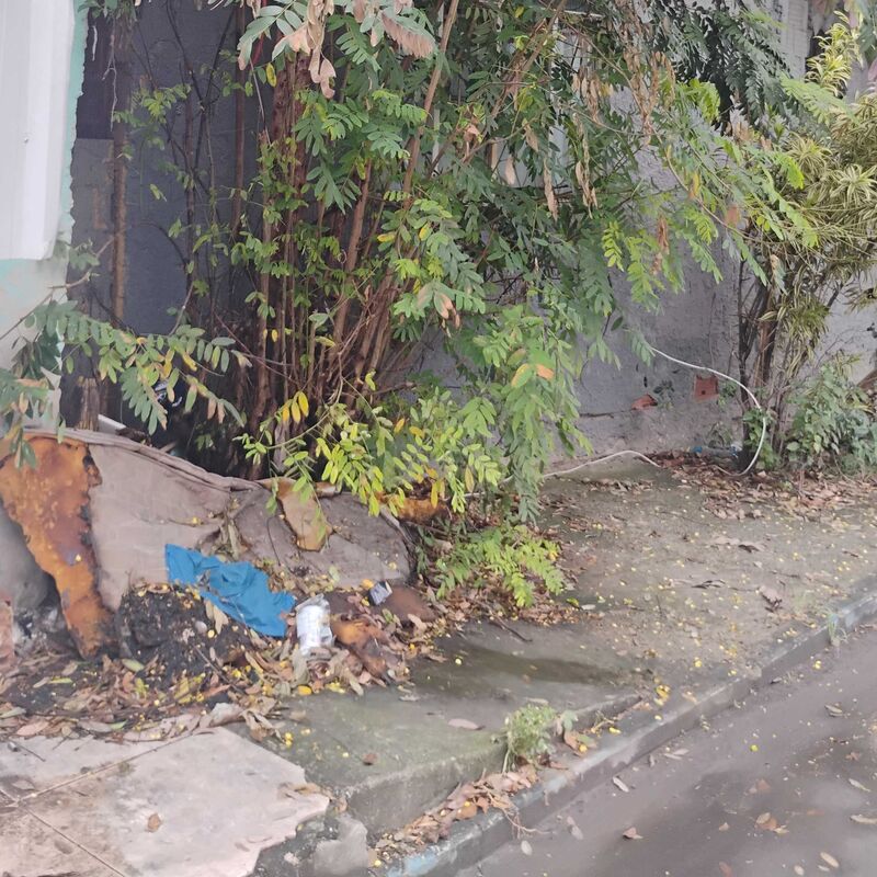 Imagem da publicação