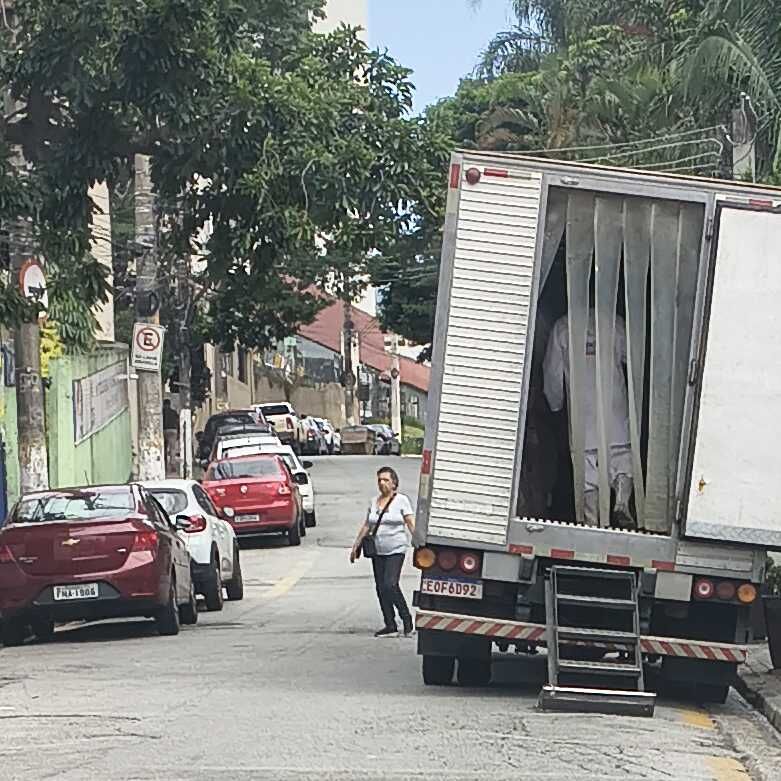 Imagem da publicação